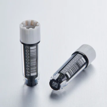 艾本德Eppendorf CryoStorage Vial，無菌, 無菌, 0.5 mL, 不含 DNase、RNase、人類 DNA 和內(nèi)毒素；外螺紋，預(yù)先加蓋灰色管蓋，帶 2D SafeCode 